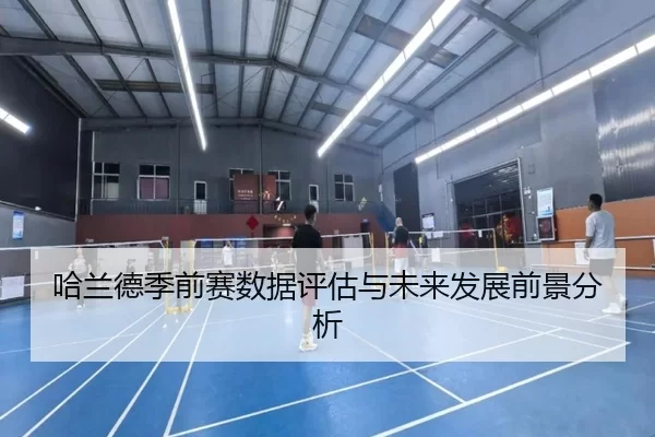 哈兰德季前赛数据评估与未来发展前景分析