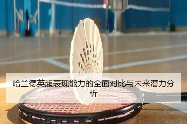 哈兰德英超表现能力的全面对比与未来潜力分析